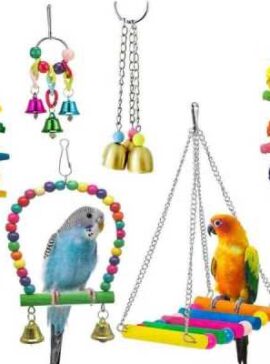 accesorios-aves